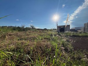 Image 7 - 921378