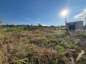 Image 6 - 921378