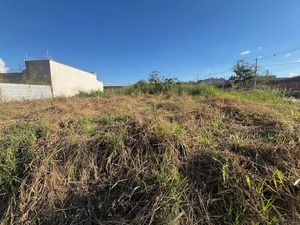 Image 9 - 921378