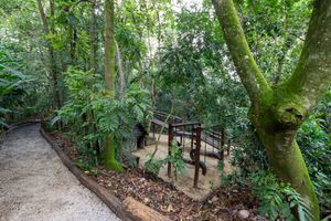 Image 41 - 921476