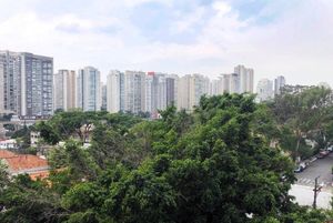 Image 10 - 921585