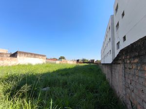 Image 7 - 921596