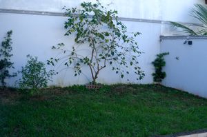 Image 53 - 921635