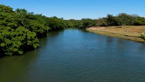 Image 4 - 921656