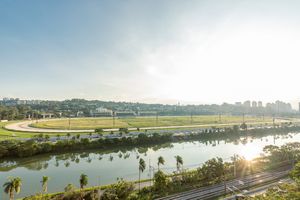 Image 36 - 921677