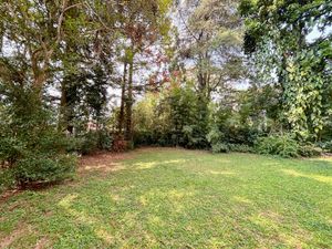 Image 34 - 921703