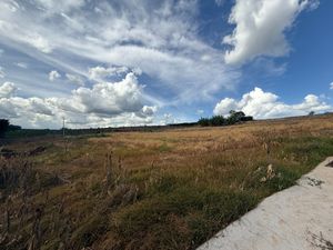 Image 11 - 921718