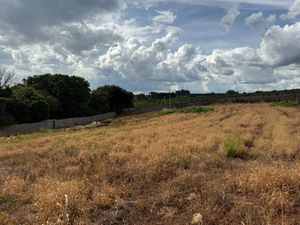 Image 4 - 921718