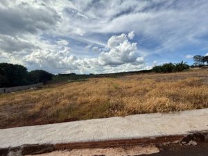 Image 9 - 921718