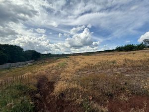 Image 10 - 921718
