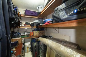 Image 66 - 921789
