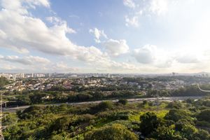 Image 41 - 921818