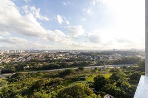 Image 42 - 921818