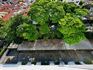 Image 11 - 921831
