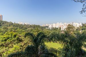Image 25 - 921848