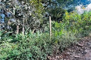 Image 9 - 921858