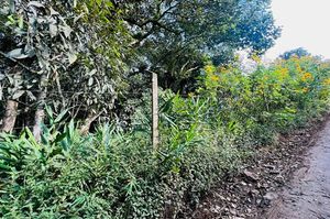 Image 10 - 921858