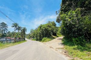 Image 5 - 921858