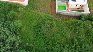 Image 14 - 922040
