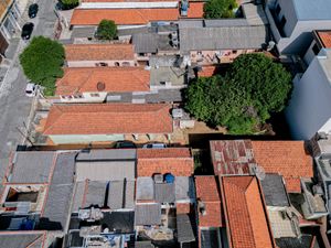 Image 11 - 922044