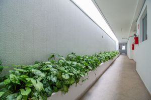 Image 3 - 922061
