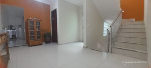 Image 46 - 922073
