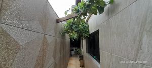 Image 83 - 922079