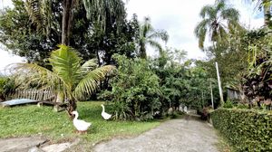 Image 38 - 922119