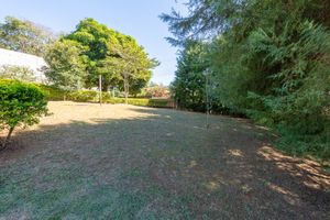 Image 10 - 922152