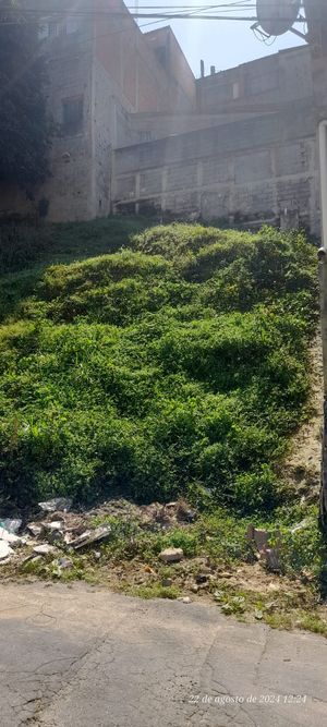 Image 8 - 922153