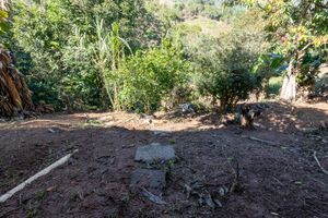 Image 19 - 922157