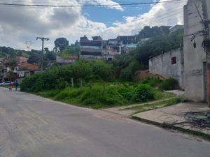 Image 9 - 922159