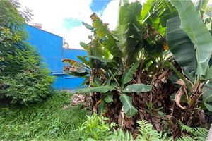 Image 1 - 922166