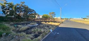 Image 4 - 922402