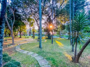 Image 35 - 922451