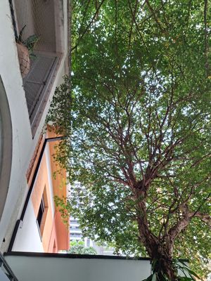 Image 9 - 922486