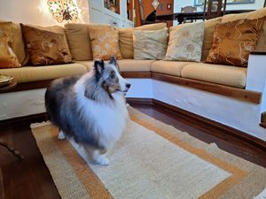 Image 11 - 922486