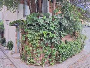 Image 10 - 922486