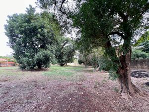 Image 14 - 922488