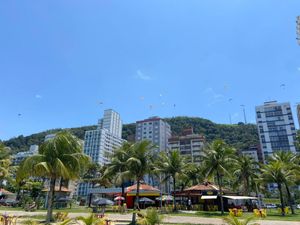 Image 16 - 922494
