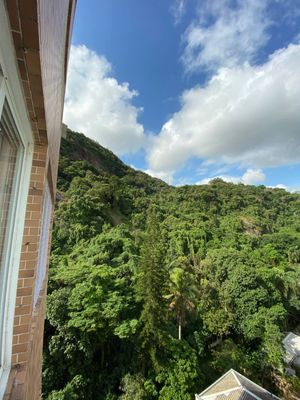 Image 19 - 922494