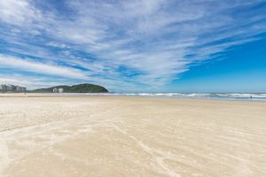 Image 81 - 922503