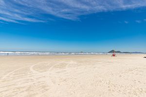 Image 80 - 922503