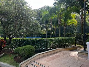Image 61 - 922516