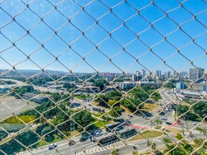Image 35 - 922584
