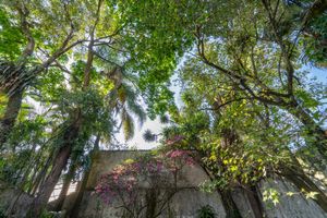 Image 25 - 922808