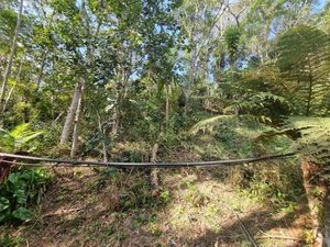 Image 33 - 922879