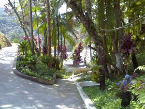 Image 16 - 922879