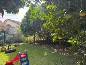 Image 19 - 922921