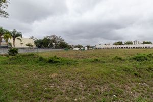 Image 37 - 922922
